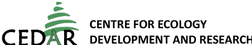 CEDAR